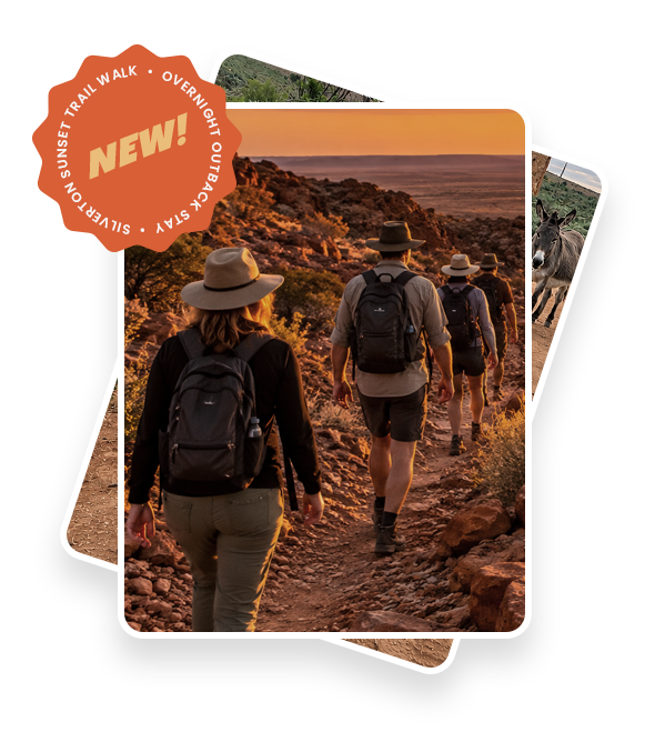 Silverton Trail Walk & Overnight Stay